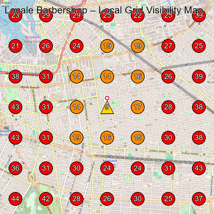Locale Barbershop GeoGrid visibility map for Barber Shop in Brooklyn